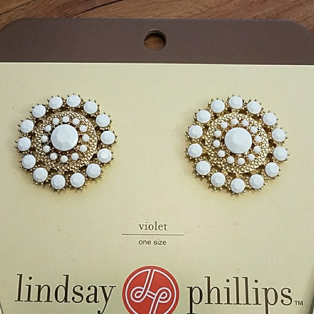 Lindsay Phillips shoe accessories!